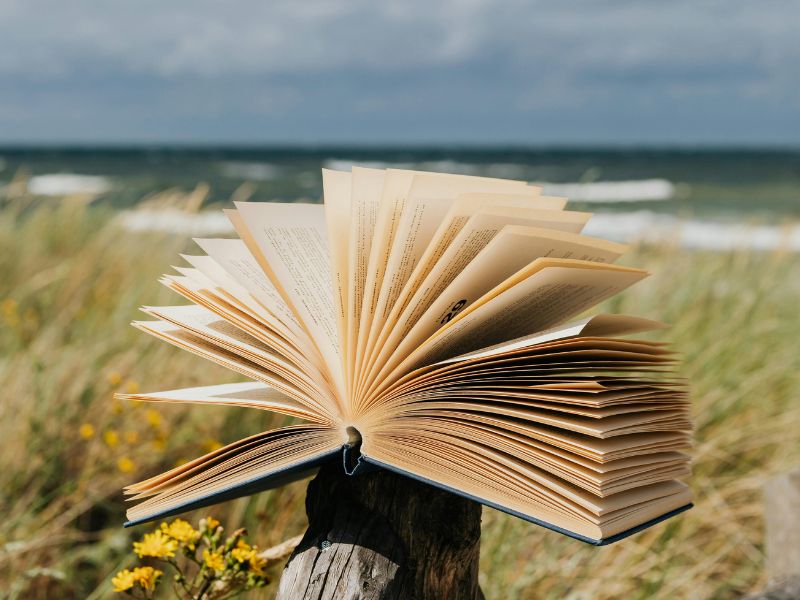 Exemple de manifeste de marque